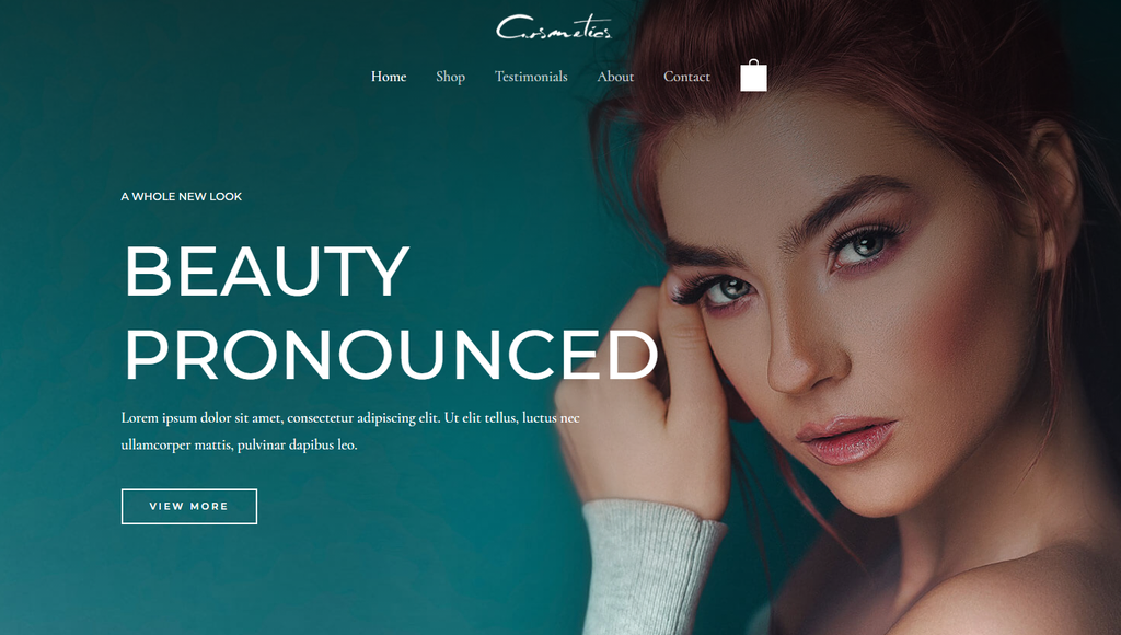 Astra-wp-woocommerce-theme